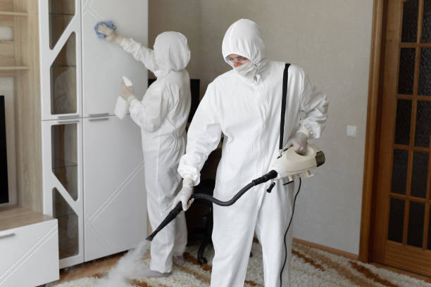 Best Commercial Mold Remediation in Odessa, FL