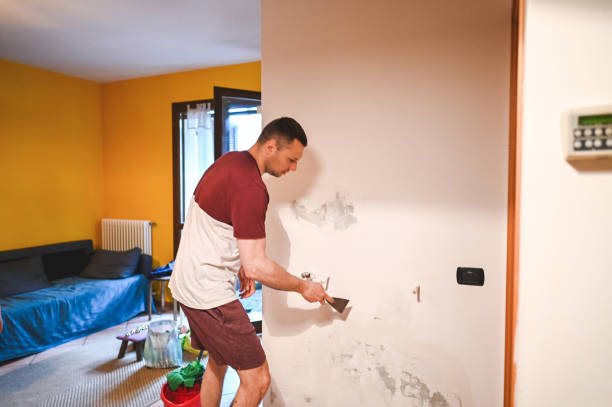 Best Health and Safety Mold Remediation in Odessa, FL